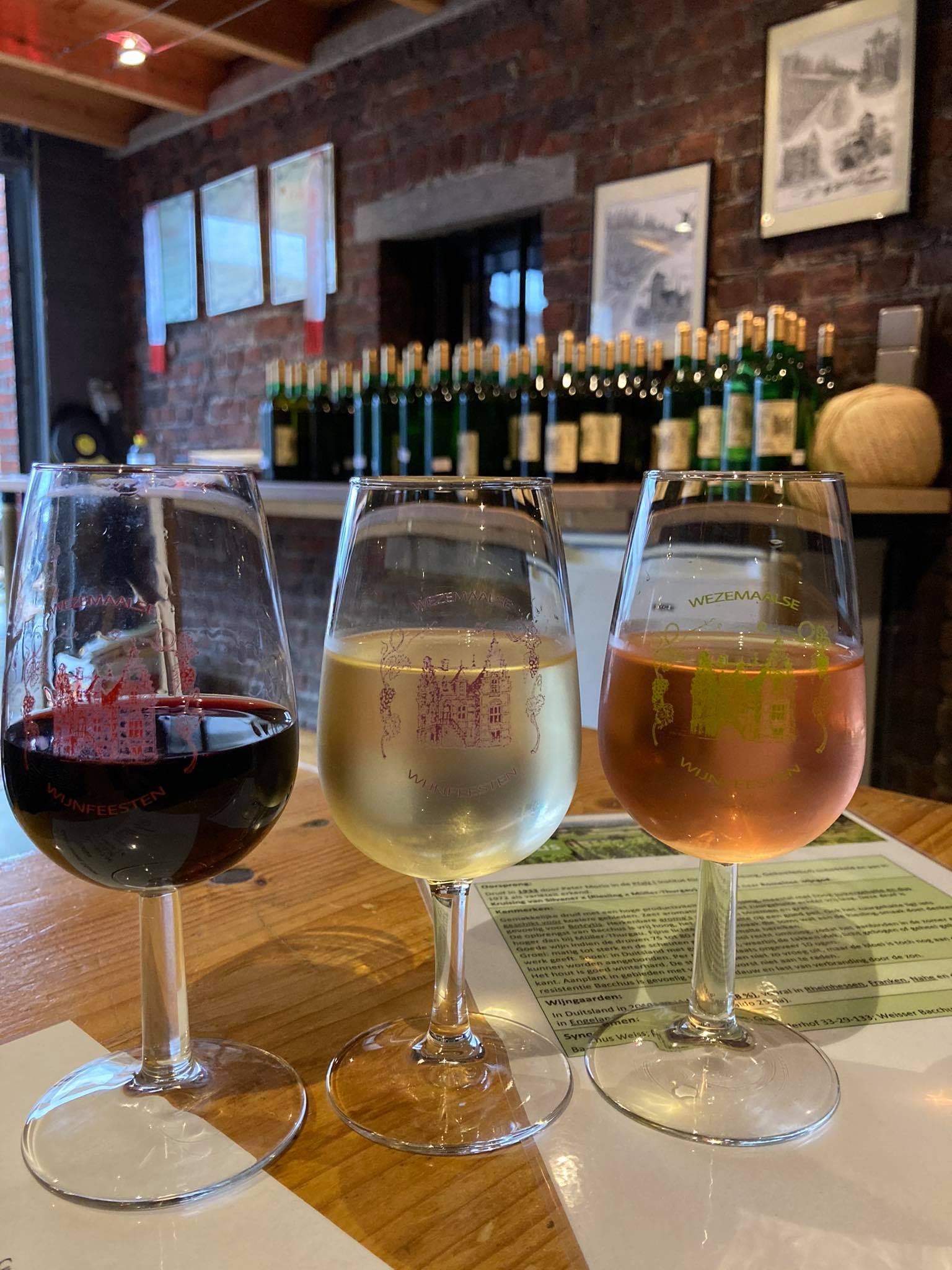 240055892_569968337480329_4717679646871662992_n