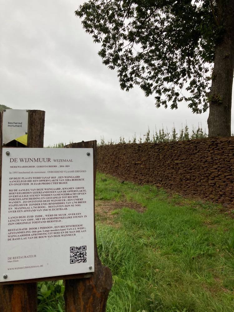 241447669_970049897175449_2928491107537044327_n